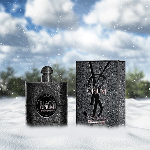 Winter perfume collection